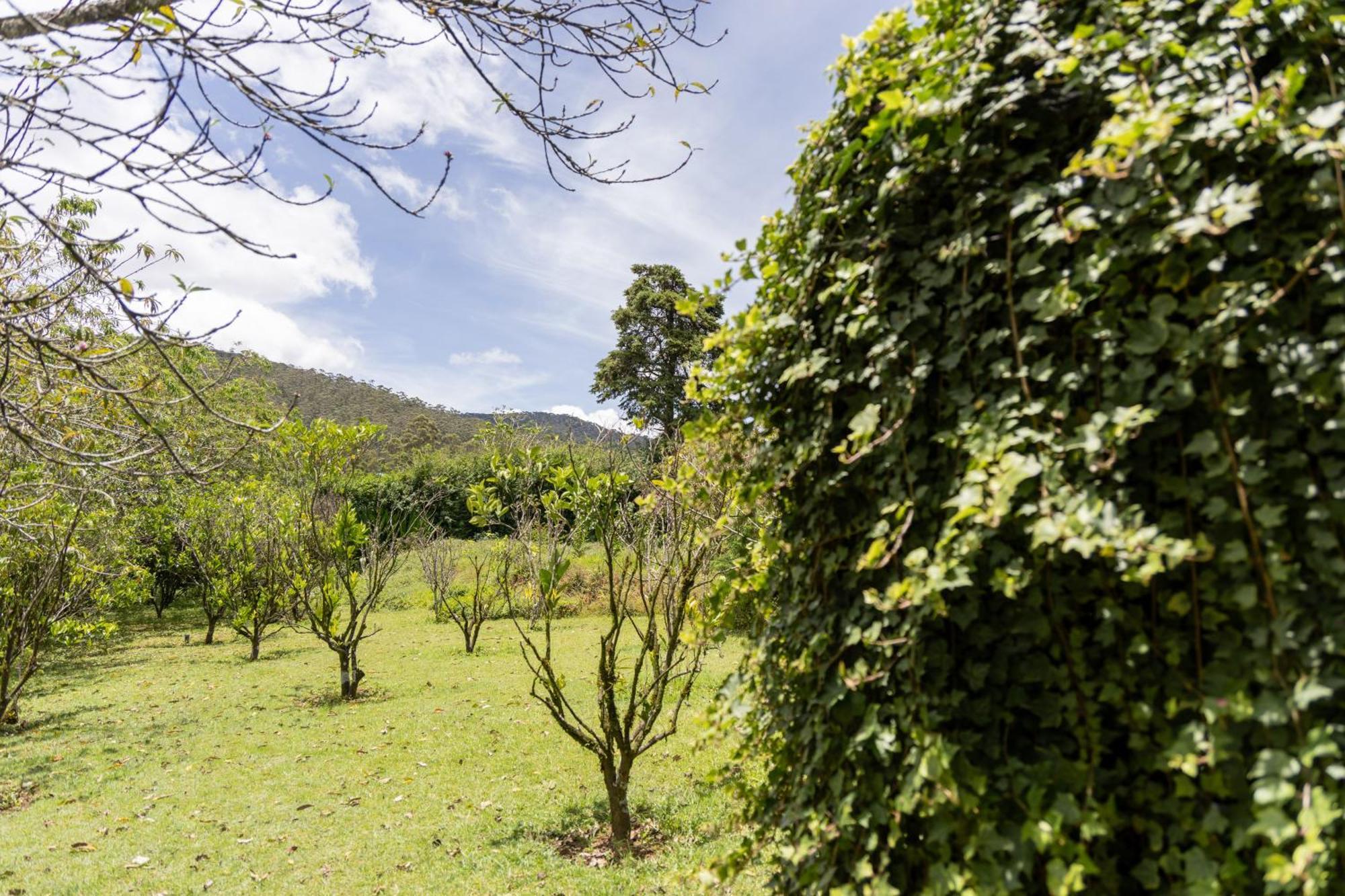 Ferncliff Bungalow Nuwara Eliya Exterior foto